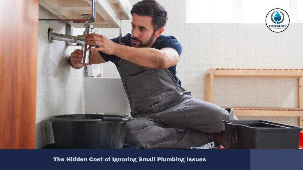The Hidden Cost of Ignoring Small Plumbing Issues